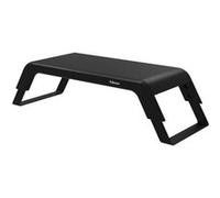 Fellowes Support pour moniteur Hana LT pour bureau Noir