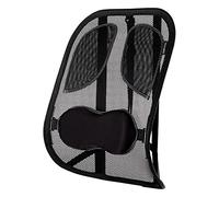 Fellowes Support dorsal en maille Professional Series 8029901 – ergonomique, réglable, noir