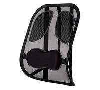 Fellowes Professional Series Support dorsal ergonomique 8029901 Graphite (Noir)