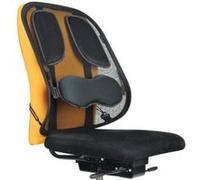 Fellowes Support dorsal en maille Professional Series 8029901 – ergonomique, réglable, noir