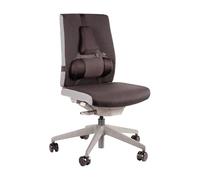 Fellowes Support Dorsal Premium Professional Series, Soutien Lombaire Ergonomique, Mousse en mémoire de Forme, Protection antibactérienne Microban, Noir, 8041801