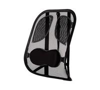 Fellowes Support Dorsal Professional Series 8029901 Graphite Mesh, Ajustable, Dimensions 304x370x195mm, Poids 580g