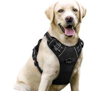 Fellster Harnais pour chien - Harnais anti-traction avec design Step-in - Respirant et rembourré - Harnais confortable pour promener détendue - Pour chiens de toutes tailles (M)