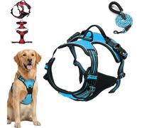 Fellstern Harnais anti-traction, réglable, doux, avec design Step-In, respirant et rembourré, pour la marche détendue, contrôle anti-traction, pour chiens (bleu, taille L)