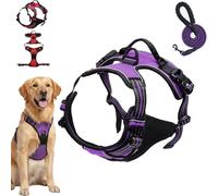 Fellstern Harnais anti-traction, réglable, doux, avec design Step-In, respirant et rembourré, pour la marche détendue, contrôle anti-traction, pour chiens (violet, taille S)