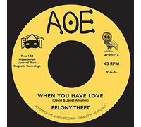 Felony Theft - When You Have Love [7" VINYL]