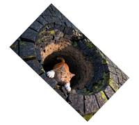 Felpudo - Decoración Fácil De Limpiar,Alfombra De Baño Con Ilusión Óptica,Para Dormitorio, Estudio, Sofá, Dormitorio Lateral, Apartamento, Reunión Familiar, Inauguración De La CASA, Cumpleaños