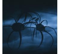 Felsenreich - Am Ende der Zeit [Import]