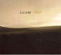 Felt -Digi-