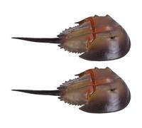 FELTECHELECTR 2 pièces Figurines Animaux Marins Crabes Plastique Jouets Éducatifs Garçon Fille Décor Collection Créatures Océaniques Réalistes pour Jeu Créatif