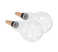 FELTECHELECTR 2pcs Globes D'arrosage Automatiques en Céramique pour Plantes D'intérieur et Succulentes, Système Goutte à Goutte Décoratif, Réduit L'entretien des Plantes