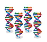 FELTECHELECTR 4 pièces Modèle Adn Double Hélice Kit Éducatif DIY pour Apprentissage Gènes Humains Outil Pédagogique Réaliste pour École et Maison