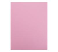FELTECHELECTR Blocs de Sculpture Rectangulaires Outil Polyvalent et Facile pour Débutants Rose en Pvc Haute Densité pour Cours D'art et Gravure sur Linoléum