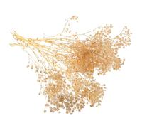 FELTECHELECTR Bouquet de Petites Fleurs Séchées Blanc pour Décoration Cuisine et Fêtes, Fleurs Naturelles Séchées Apparence Réaliste, pour Boutiques et Événements