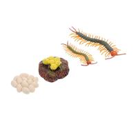 FELTECHELECTR Figurines Éducatives du Cycle de Vie du Mille-Pattes, Ensemble de 4 Modèles Réalistes, Matériel Pédagogique Interactif pour Garçon et Filles, Éducatif Croissance des Arthropodes,