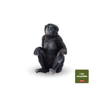 Femelle Bonobo (circular)