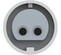 PCE Femelle CEE 282-12v 16 A 2 pôles 42 V blanc, gris 1 pc(s)