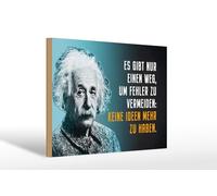 Femer Panneau en bois avec citation 20 x 30 cm Einstein bleu pour éviter les erreurs sans idées