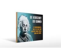 Femer Plaque décorative en bois avec citation 30 x 40 cm Einstein bleu Le règne des stupides