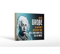 Femer Plaque en bois avec citation 12 x 18 cm Einstein bleu parce que l'un fait plus qu'il ne doit