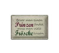 Femer Plaque en tôle avec inscription en allemand 20 x 30 cm avant de trouver des princes, baiser de nombreuses grenouilles
