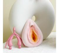 Femme Assemblage de l'appareil reproducteur externe Modèle Vulve Combinaison Modèle Science Enseignement Modèle Féminin Mannequin Gynécologique Anatomie Modèle de clitoris