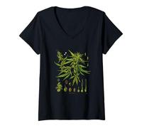 Femme Cycle de Vie d'une Plante de Marijuana Cannabis Sativa Cannabineae T-Shirt avec Col en V