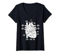 Femme Diagramme d'anatomie Cardiaque Système cardiovasculaire Science médicale T-Shirt avec Col en V