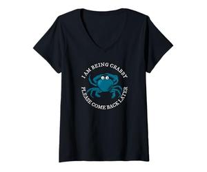 Femme Je suis drôle, s'il Te plaît, reviens Plus Tard T-Shirt avec Col en V