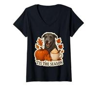 Femme Tis The Season Chien écossais Deerhound Automne Automne Citrouille T-Shirt avec Col en V