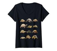 Femme Types de tortues Terres Tableau éducatif des espèces de tortues T-Shirt avec Col en V