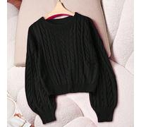 Femmes grande taille Ajusté décontracté Col rond Manches longues Pull en tricot torsadé, Automne/Hiver 0XL,1XL,2XL,3XLUnicoloreTricots