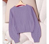 Femmes grande taille Ajusté décontracté Col rond Manches longues Pull en tricot torsadé, Automne/Hiver 0XL,1XL,2XL,3XLRayéTricots