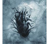 Fen - Epoch [Import]