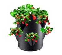 Fenayuu Pots à fraises et jardinières - Pots de plantes avec 6 poches latérales - Pots de plantes portables en tissu non tissé - 17,8 l - Pour l'intérieur et l'extérieur