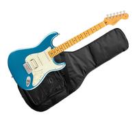 Fender American Professional Classic Stratocaster HSS MN Faded Lake