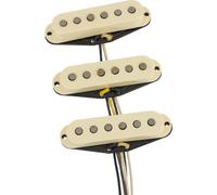 Fender Fender Ancho Poblano Strat Set