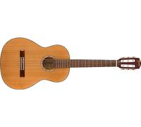 FA-15N 3/4 NYLON W/ GIG BAG