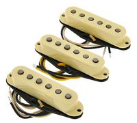 Fender Fender Ancho Poblano Strat Set