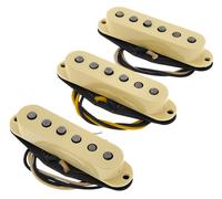 Fender Fender Dual Mag II Strat Set