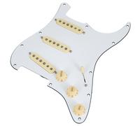 Fender Fender PWPG 59 Strat RWRP WBW