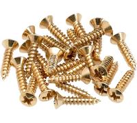 Fender Fender Pickguard Screws Gold