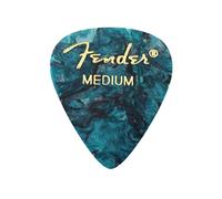 Fender Pièces et outils (1980351808)