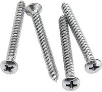 Neck Mounting Screws (4) (chrome)