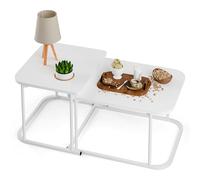 feneihe Table Basse Salon, Table Basse Ronde en 2 Pièces, Petite Table Basses, Tables Gigognes pour Salon, Table Basses en Type de Plaque avec Rangement Et Cadre en Métal, Canapé Latéral Moderne