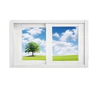 Fenêtre coulissante en alliage d'aluminium for sous-sol, petite fenêtre horizontale de remplacement avec verre et moustiquaire, for salle de bain, cuisine, grenier, garage, grange(26x13in/66x33cm)