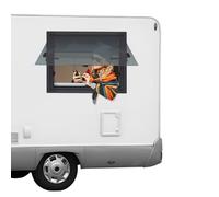 Fenêtre de caravane, fenêtre basculante, camping-car, haute protection des données avec grille de fenêtre dissimulée, fenêtre latérale moderne, pour camping-car, caravane et camping-car (600 x 450 mm)