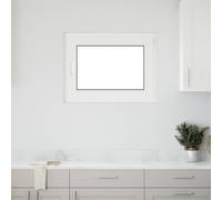 vidaXL Fenêtre de sous-sol RISOR – PVC et verre Blanc 80 x 50 cm