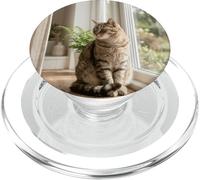 Fenêtre d'intérieur avec Chat tigré PopSockets PopGrip pour MagSafe