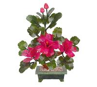 Feng Shui Arbre d'argent Arbre de Fortune Jade Pivoine Fleur en Pot Décoration de Salon Feng Shui Gem Décoration de la Maison Cadeau Simulation Arbre 12,6 Pouces Arbre en Cristal Bonsaï